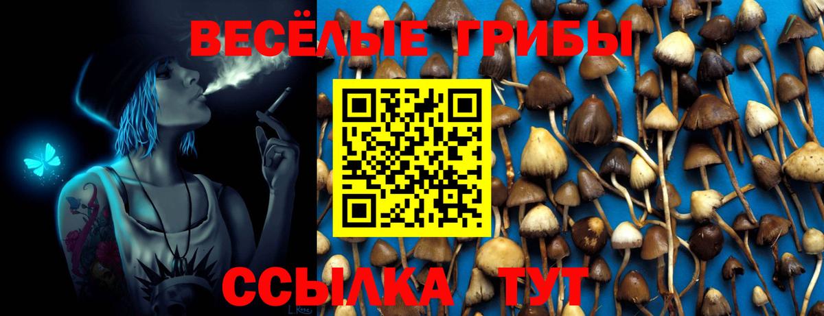 Лянтор  Галлюциногенные грибы прущие грибы  Вход с VPN 